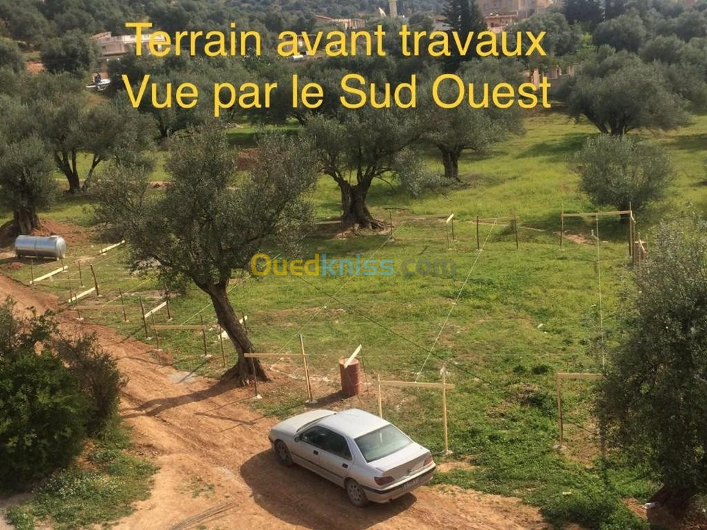 Vente Terrain Bouira Mchedallah