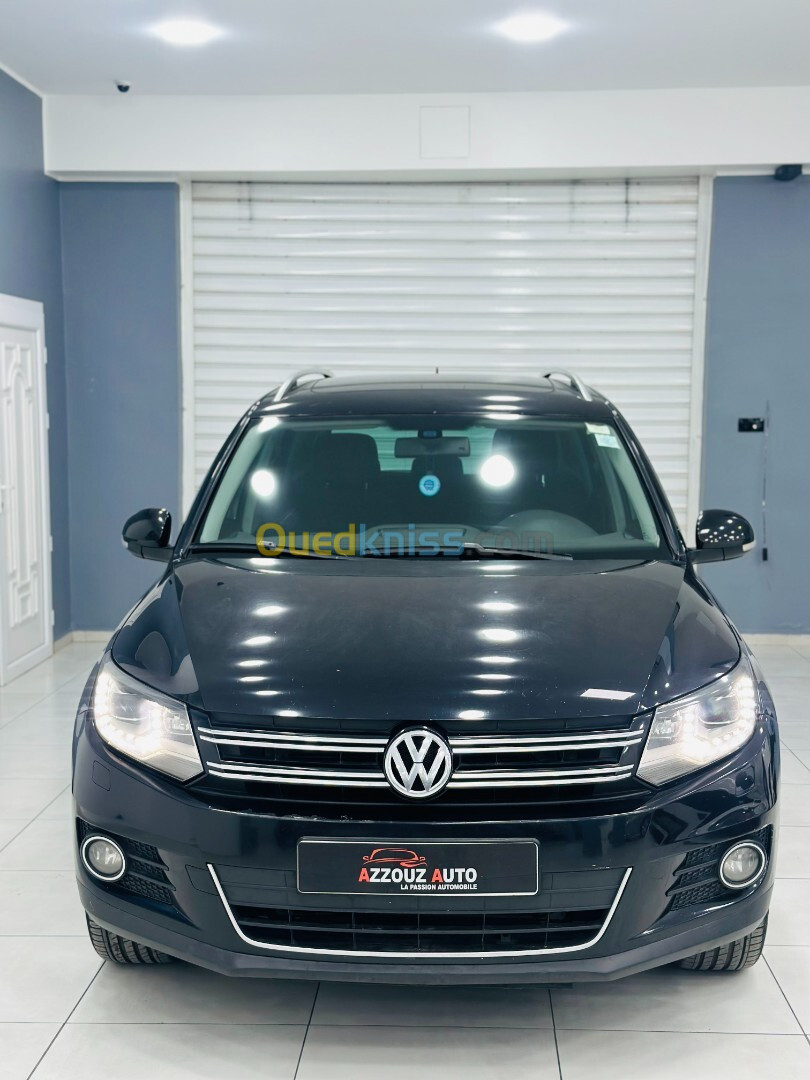 Volkswagen Tiguan 2014 Cup