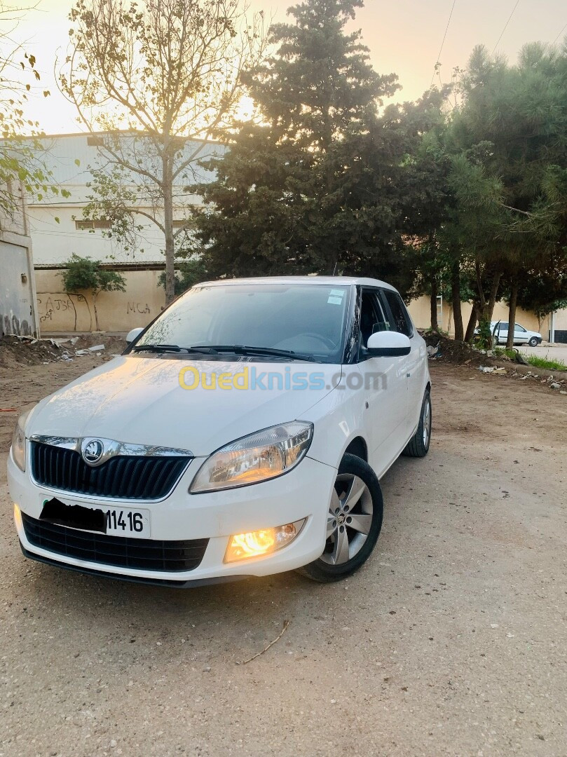 Skoda Fabia 2014 Fresh