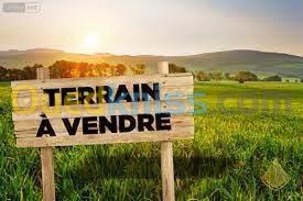 Vente Terrain Mostaganem Hassi maameche