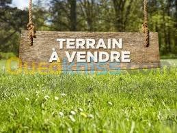 Vente Terrain Mostaganem Hassi maameche