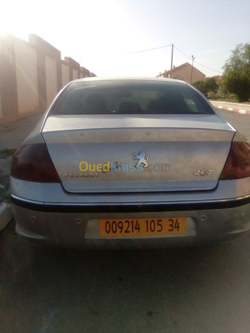 Peugeot 407 2005 407