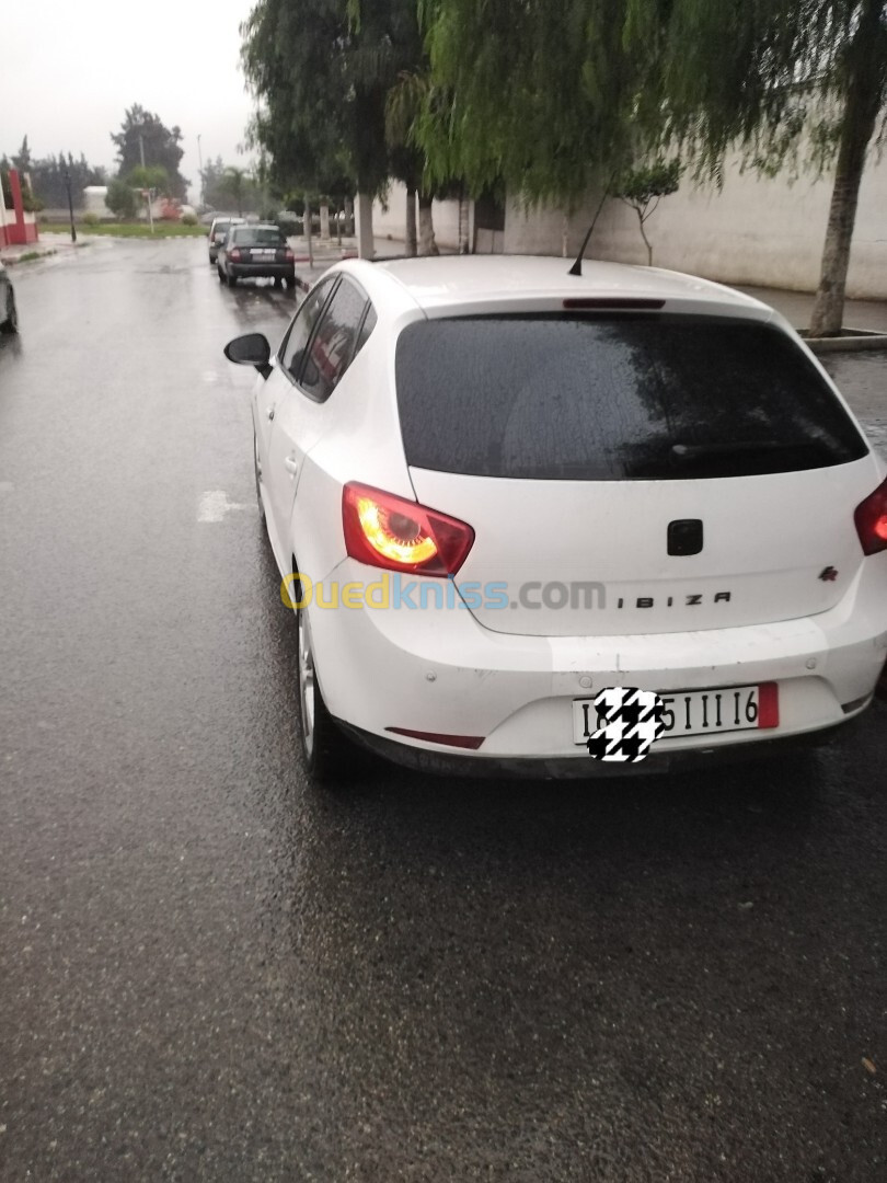 Seat Ibiza 2011 Ibiza