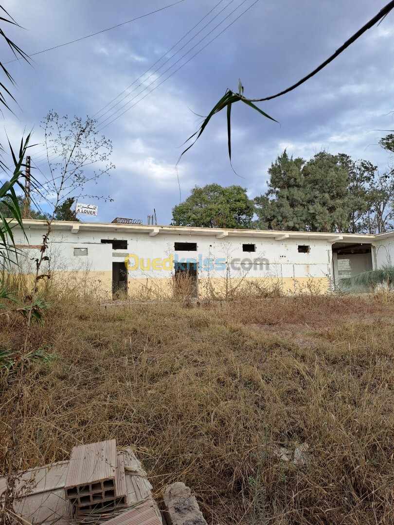 Location Local Boumerdès Boudouaou