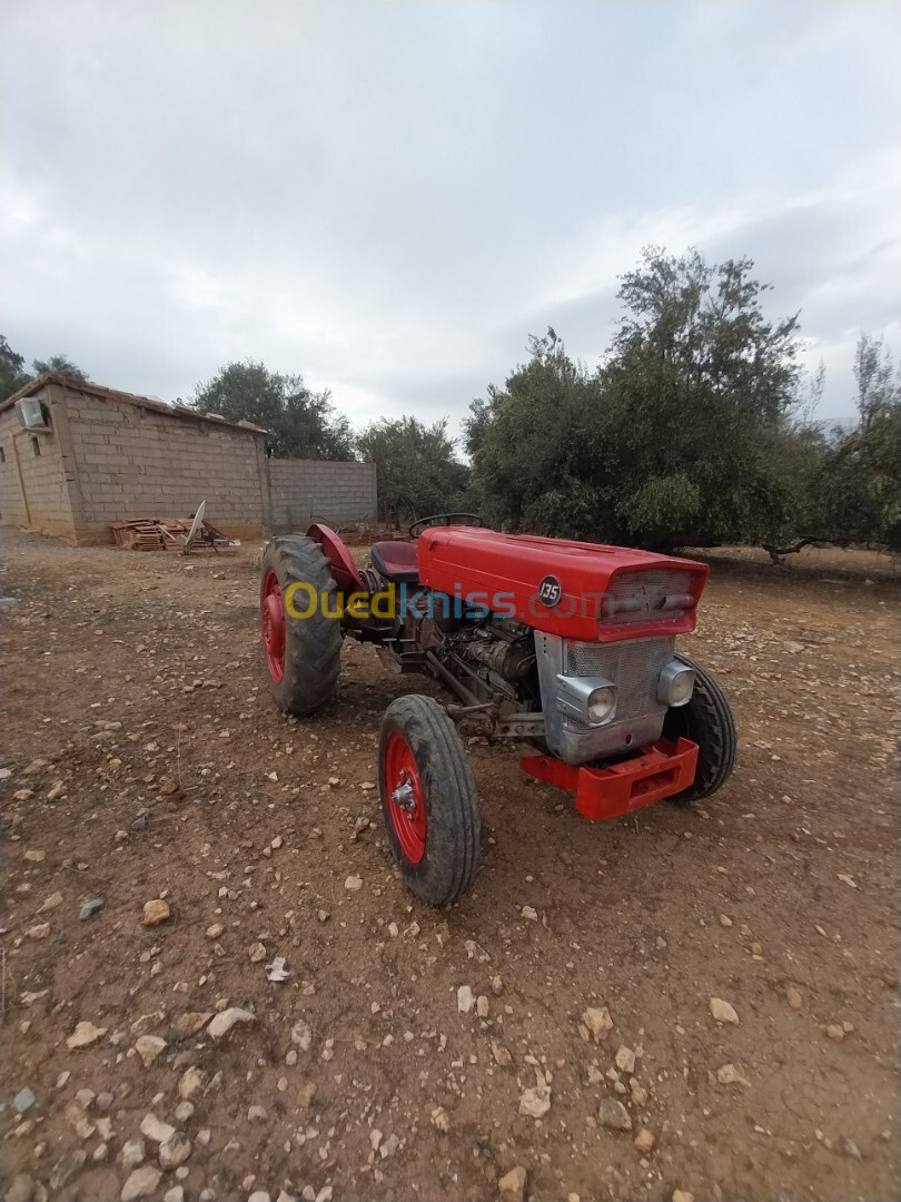 magique massey ferguson 145 1960