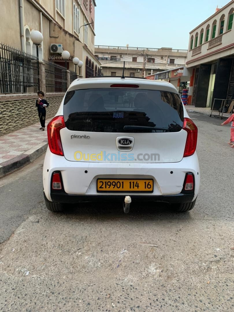 Kia Picanto 2014 BRISELIENE