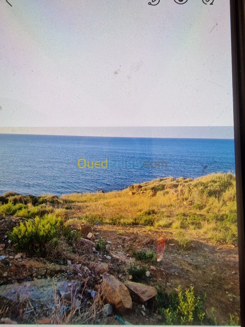 Vente Terrain Bejaia Beni ksila