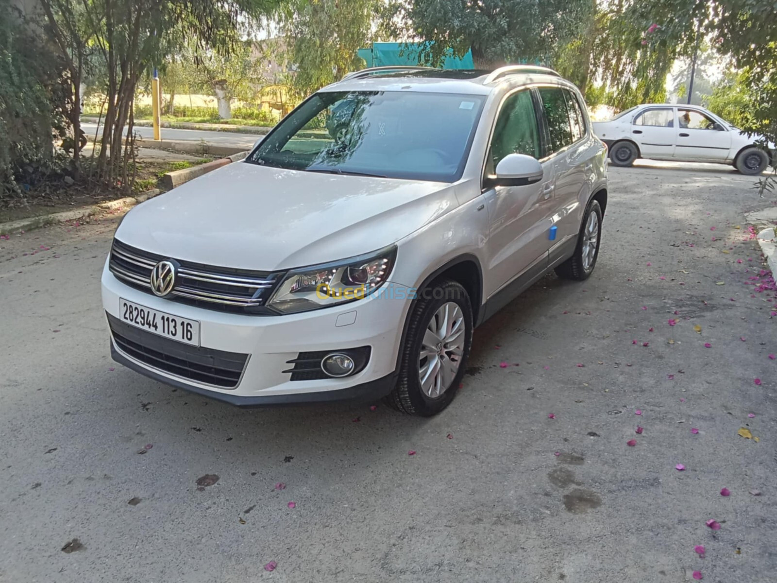 Volkswagen Tiguan 2013 Life