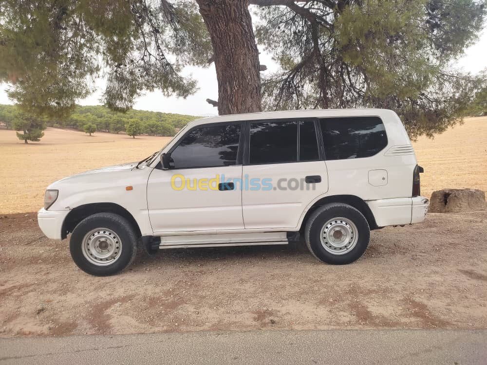 Toyota Land Cruiser SW 1996 Land Cruiser SW