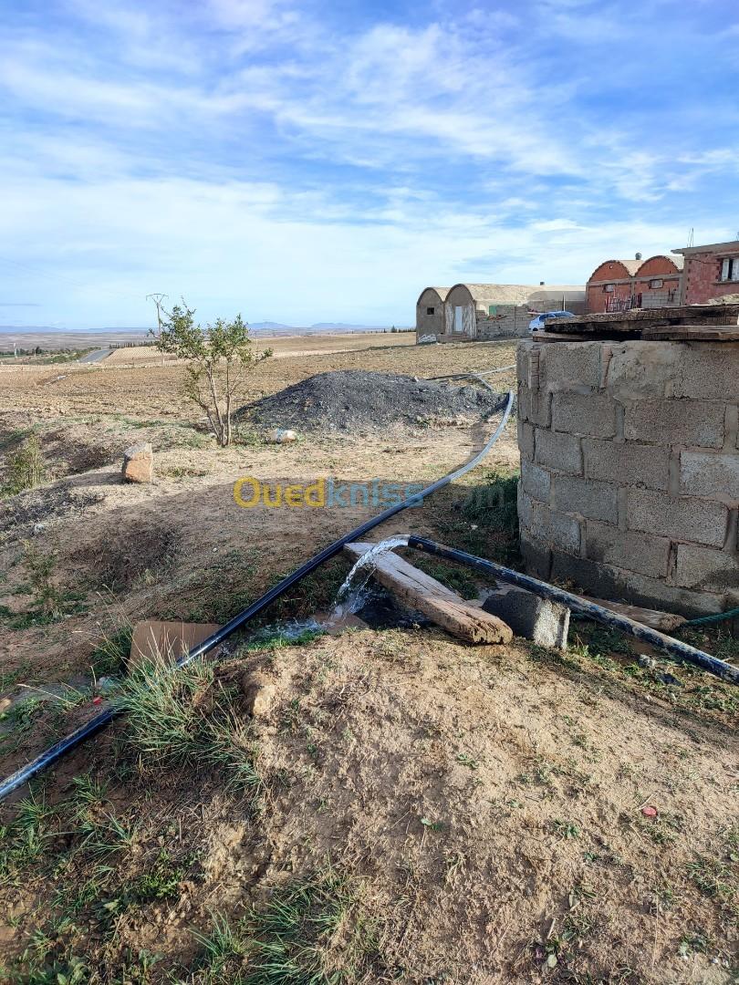 Vente Terrain Agricole Bordj Bou Arreridj Belimour