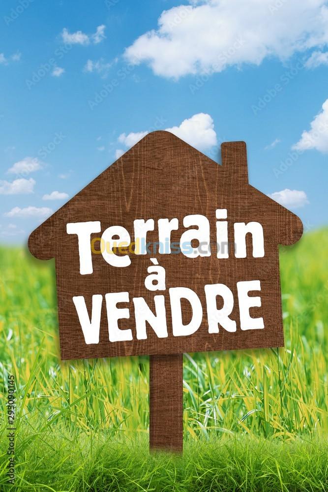 Vente Terrain Blida Bougara