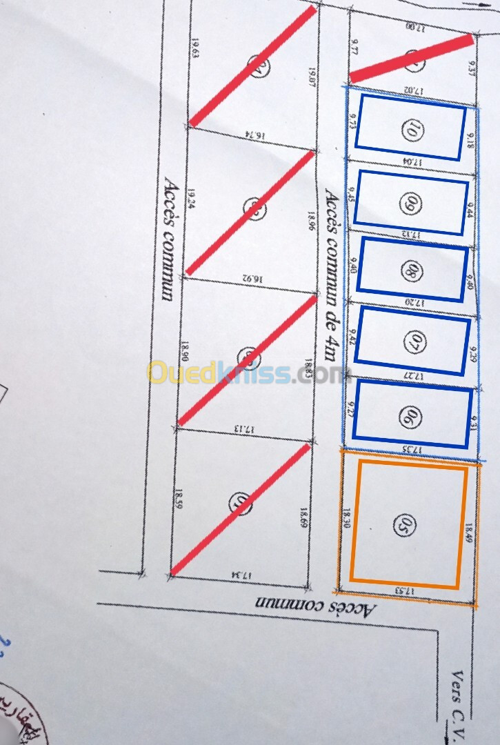 Vente Terrain Blida Ouled selama