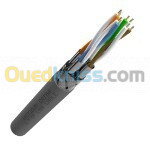 Câble LAN solide Cat 6a  S/FTP