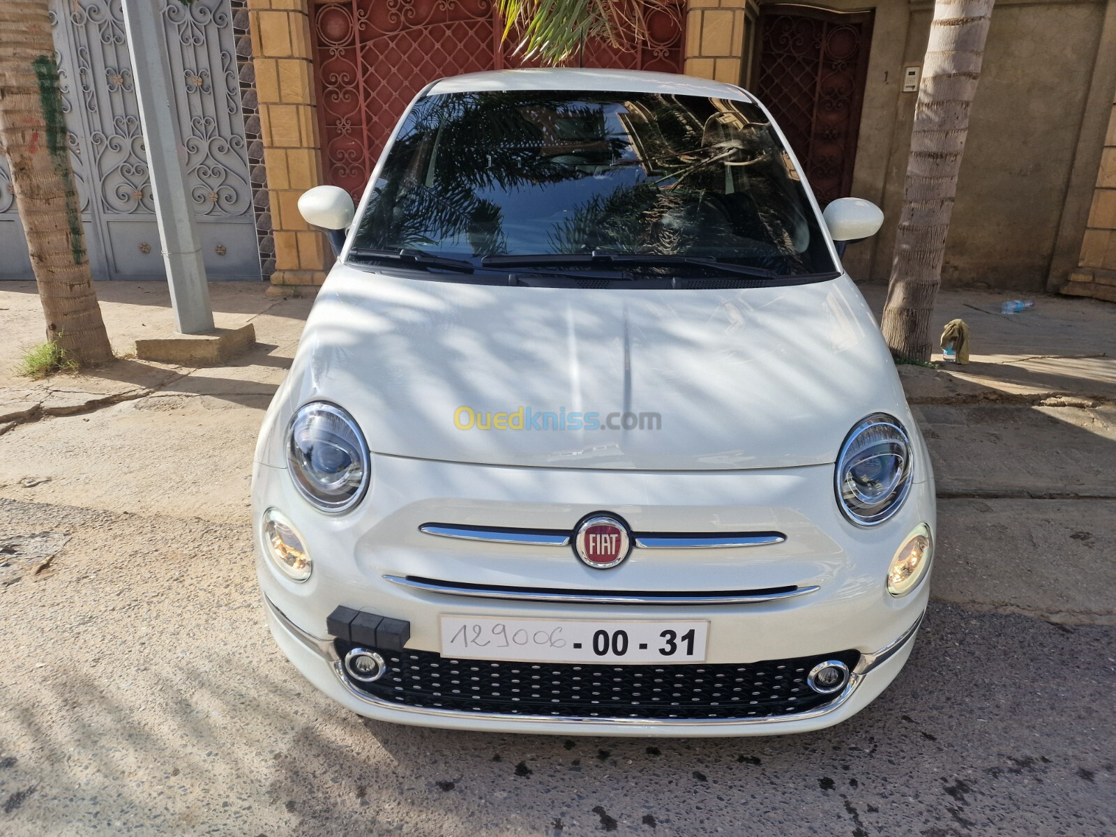 Fiat 500 2024 Club dz