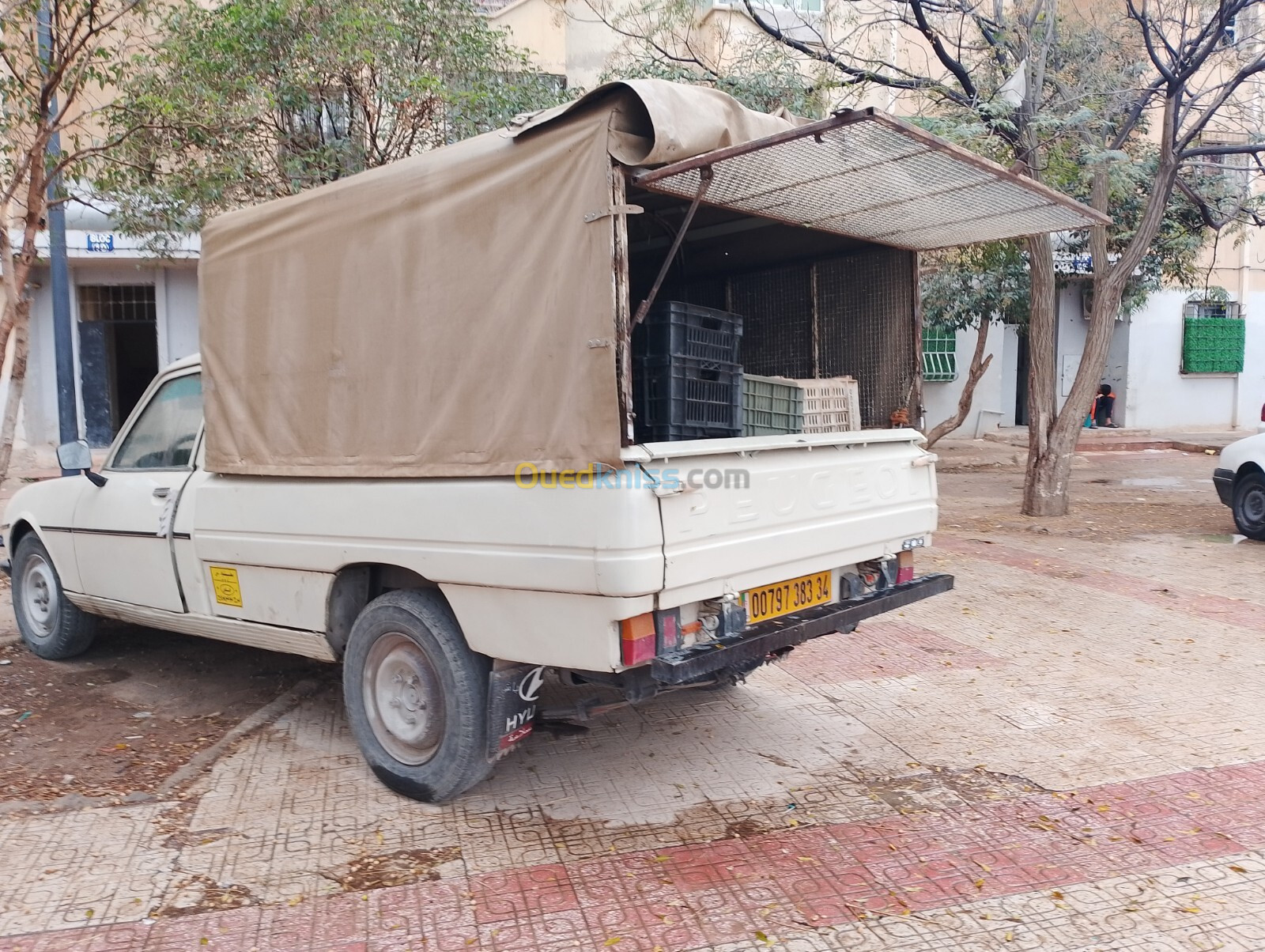 Peugeot 504 1983 504