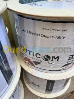 Câble LAN solide Cat 6a  S/FTP