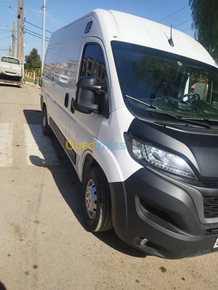 Fiat Ducato 2023