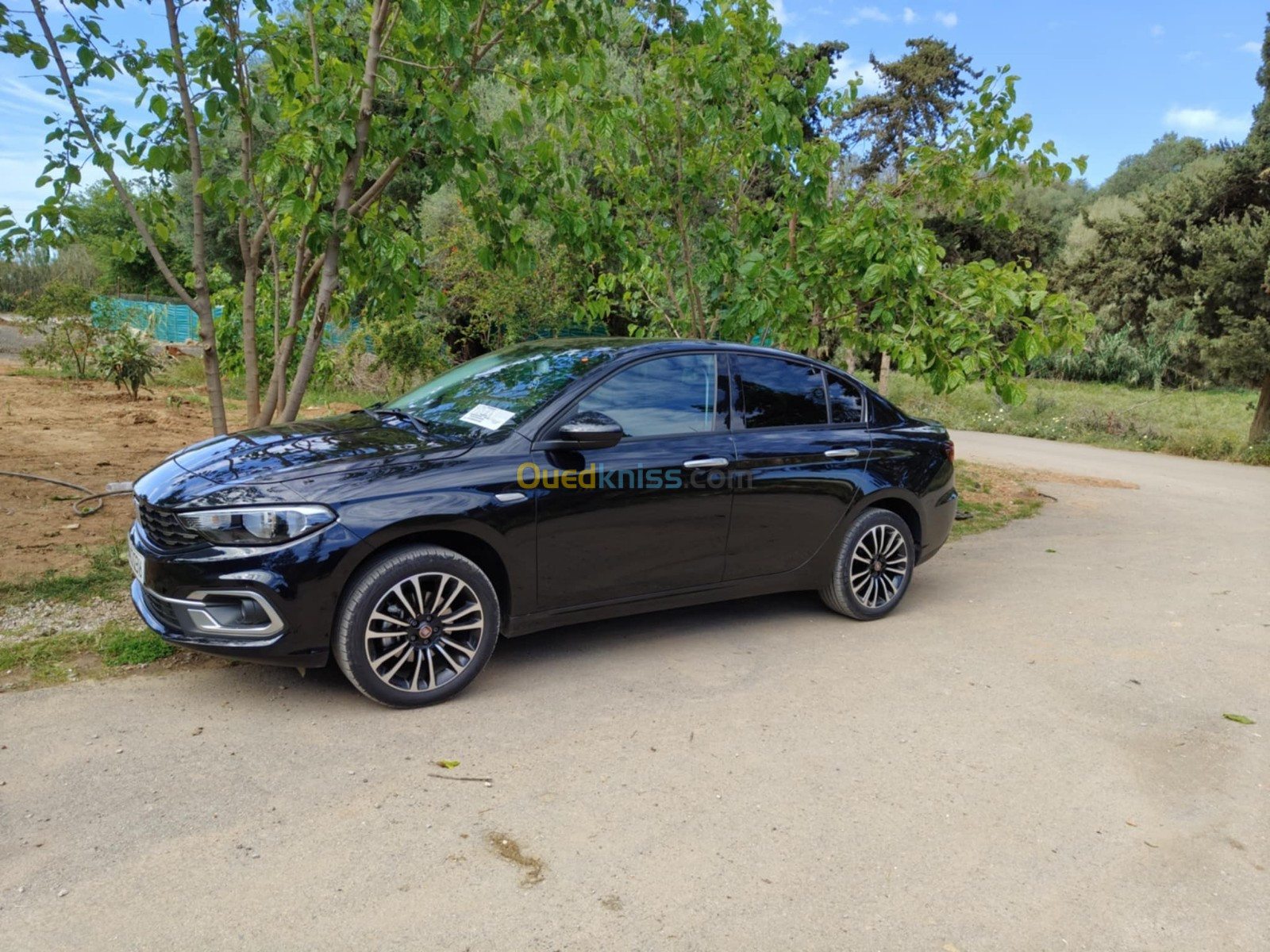 Fiat TIPO 2023 LIFE