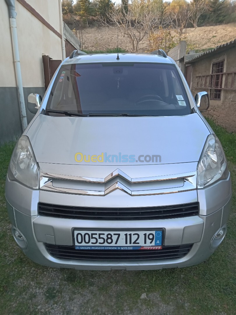 Citroen Berlingo 2012 Berlingo