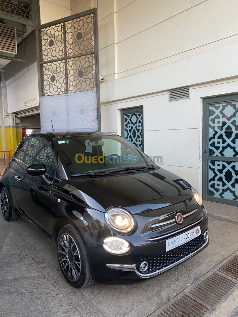 Fiat 500 2023 500