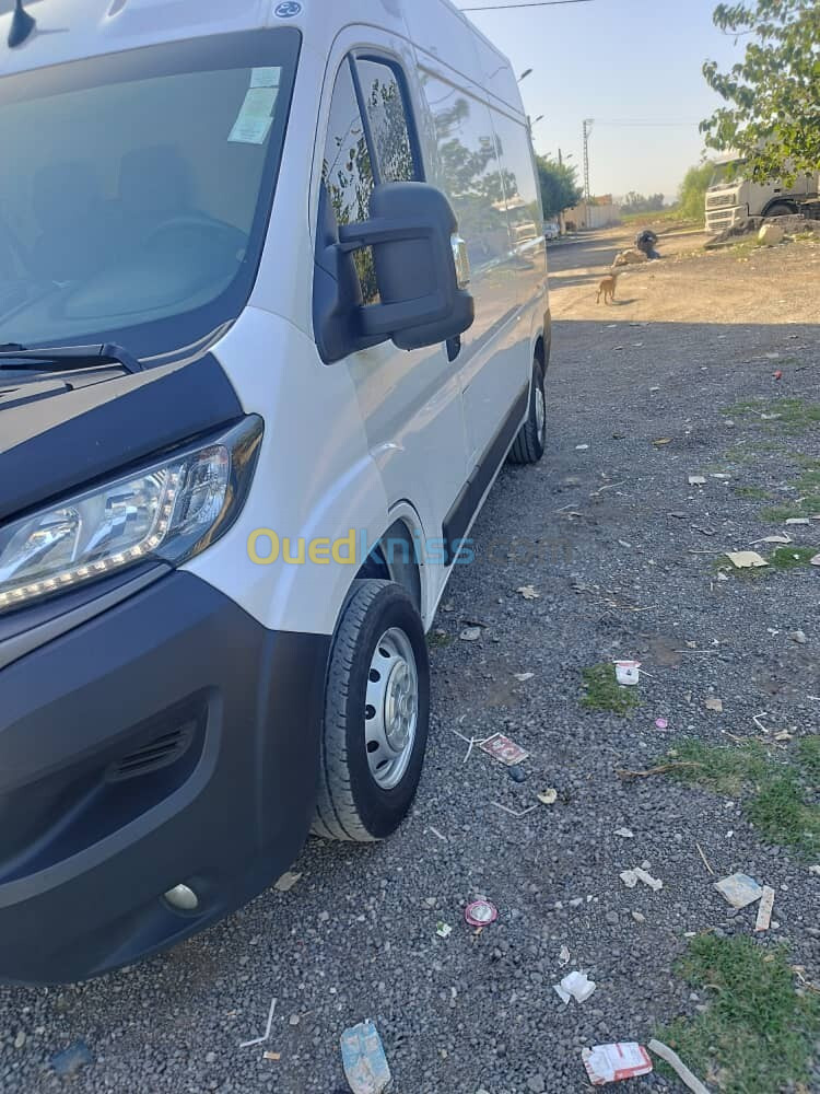 Fiat Ducato 2023