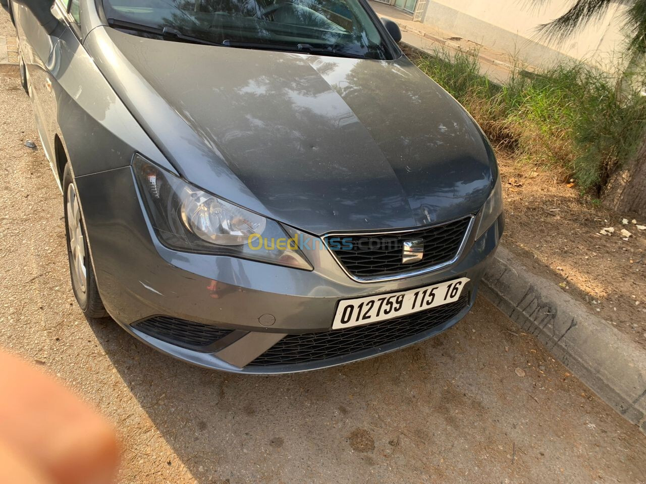 Seat Ibiza 2015 Sol