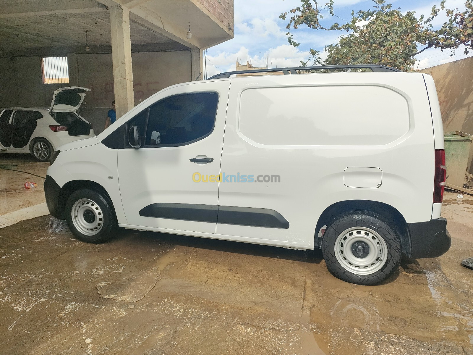 Fiat Doblo 2023 Doblo