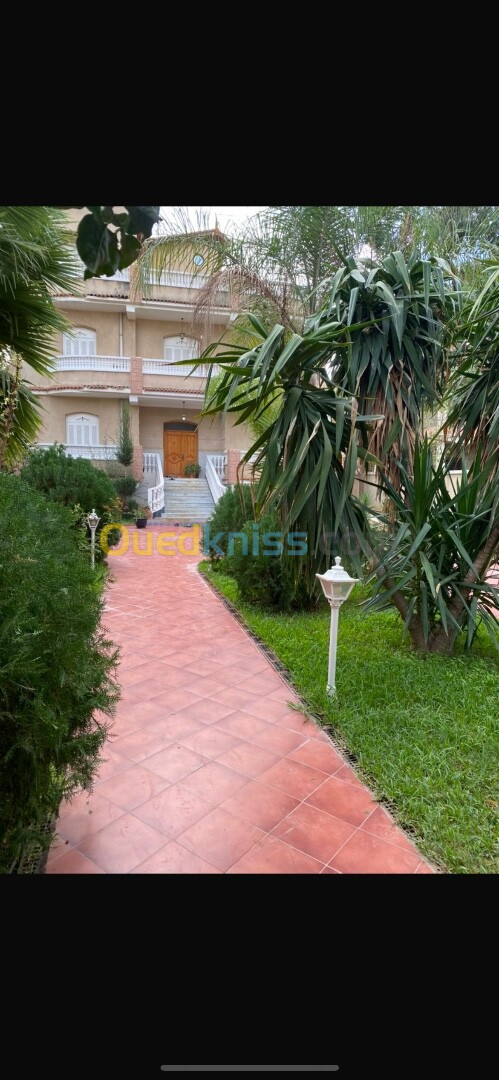 Vente Villa Blida Larbaa