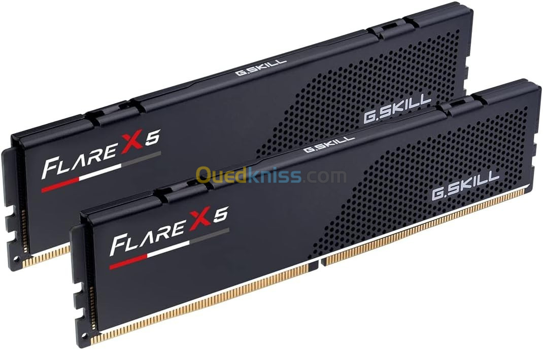  G Skill Flare X5  DDR5 6000  CL36 AMD Expo 32 GB