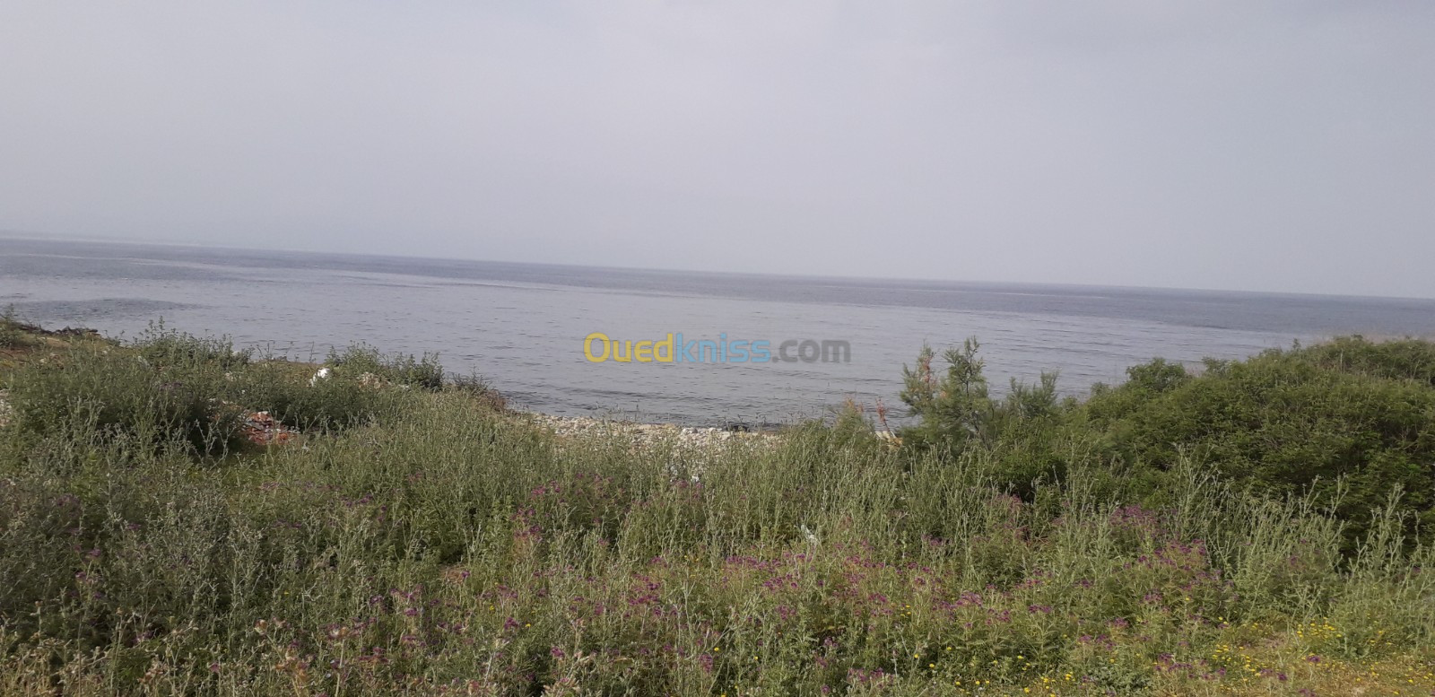 Location Appartement Skikda El marsa