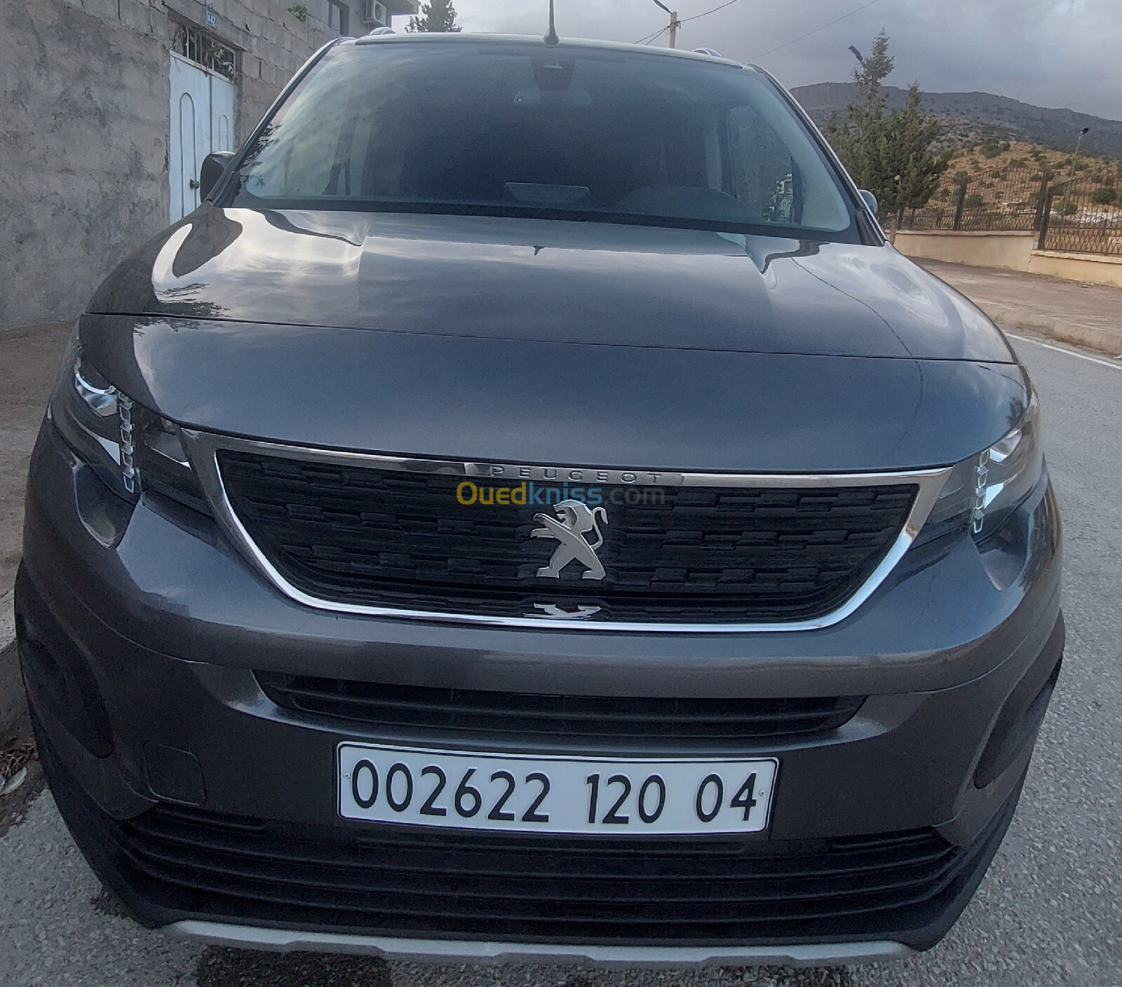 Peugeot Partner 2020 Partner