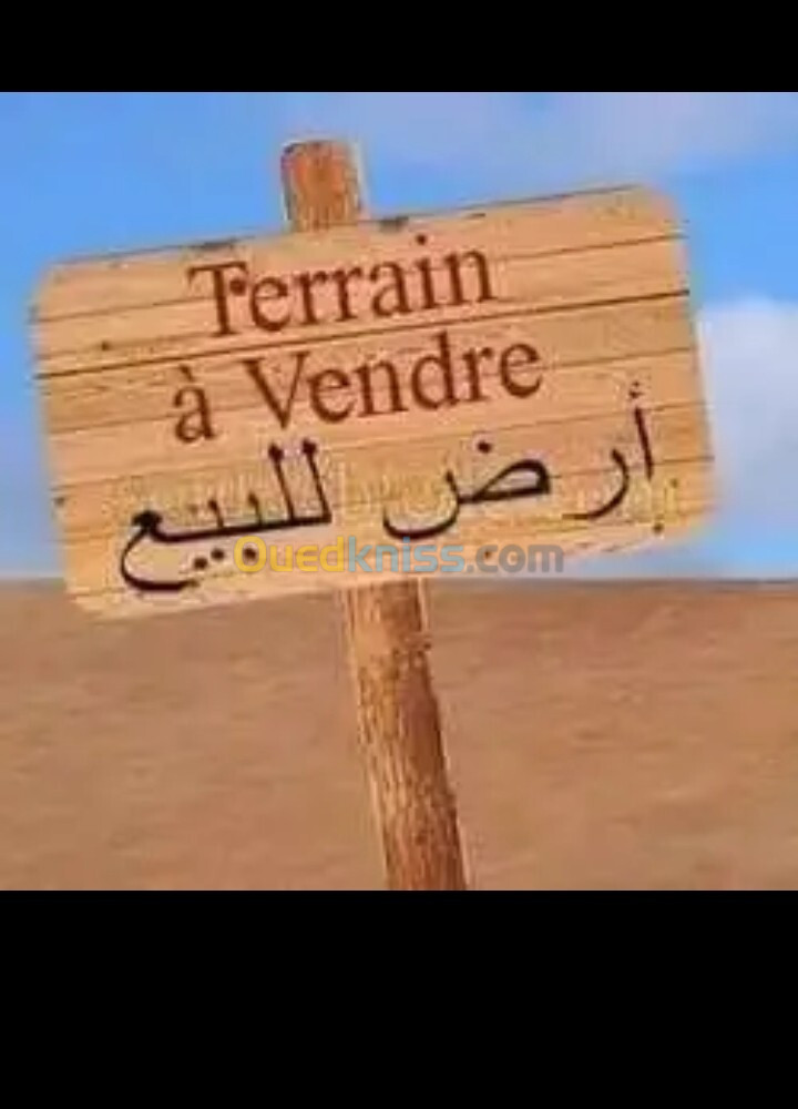 Vente Terrain Aïn Defla Djelida