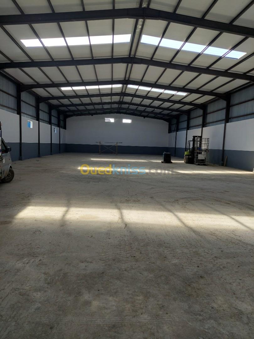 Location Hangar Alger Oued smar