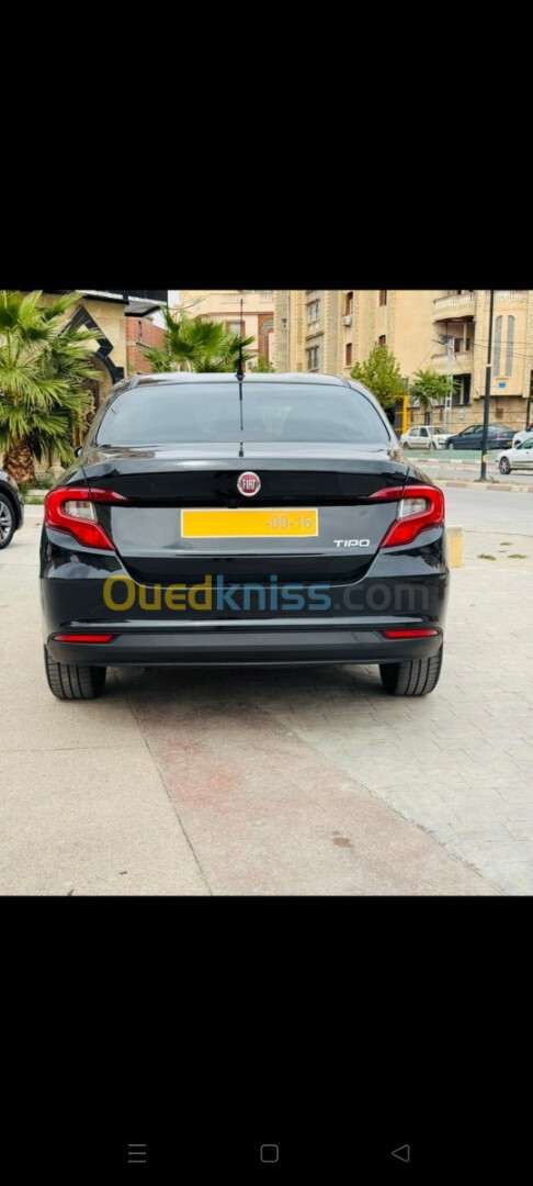 Fiat Tipo 2024 Cite