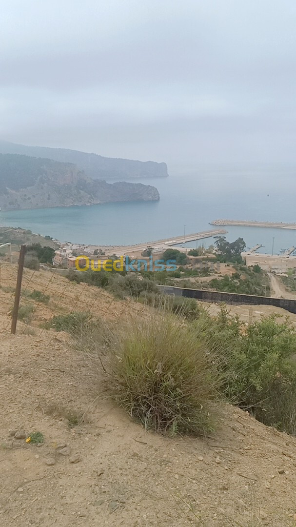 Vente Terrain Tlemcen Dar yaghmouracene