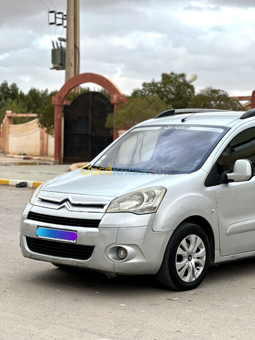 Citroen Berlingo 2010 