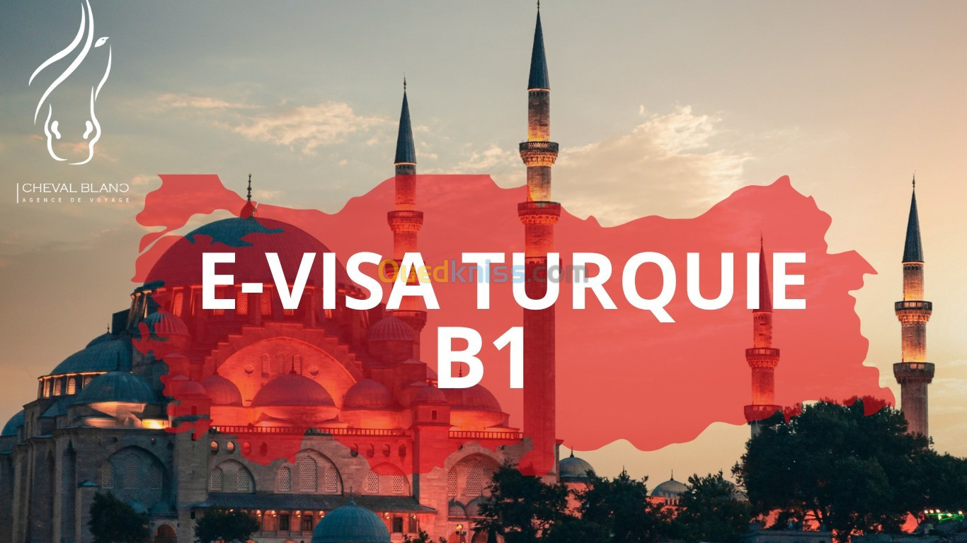E-visa Dubai/jordanie/ turquie/ egypte/ azerbaidjan 