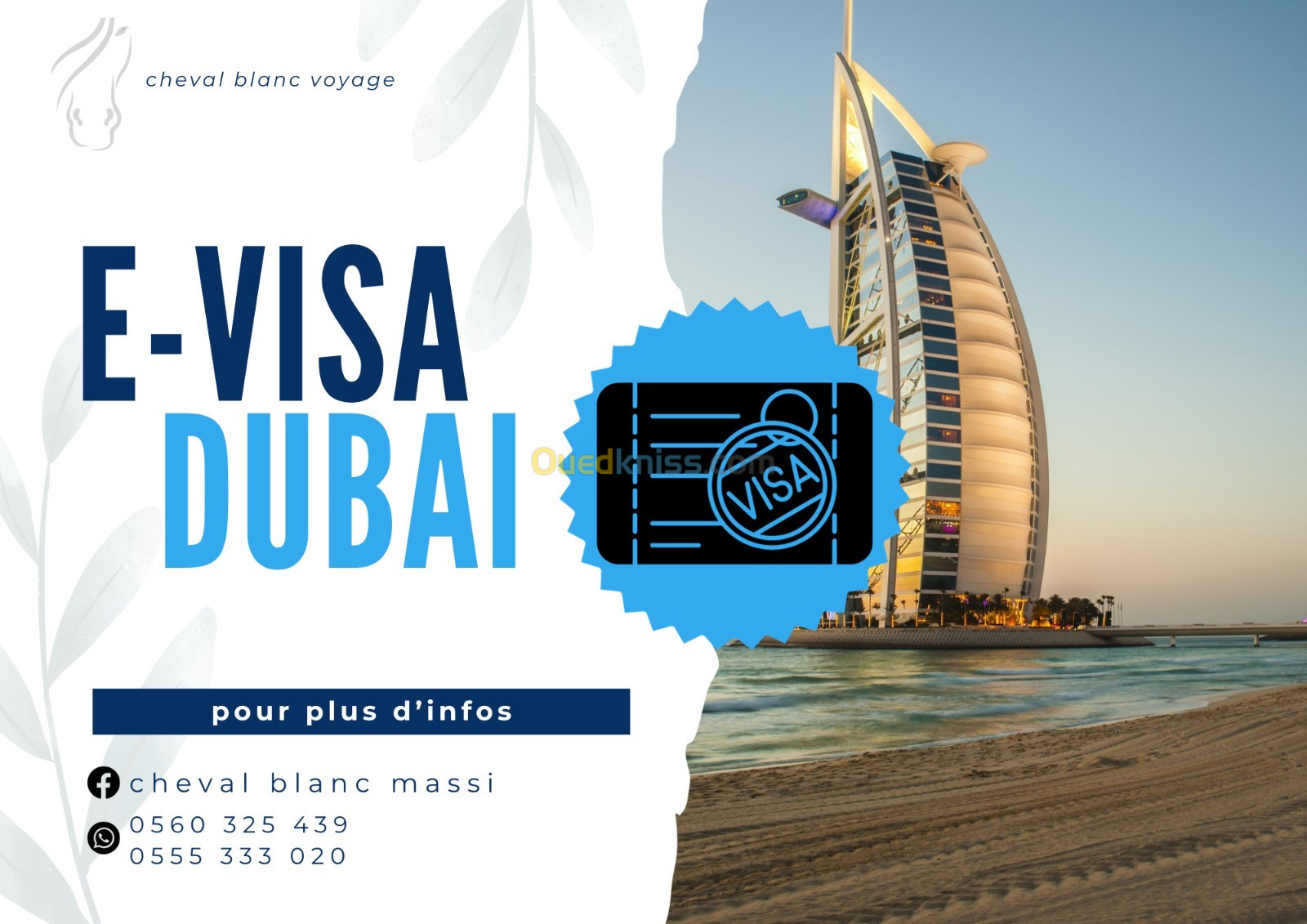E-visa Dubai/jordanie/ turquie/ egypte/ azerbaidjan 