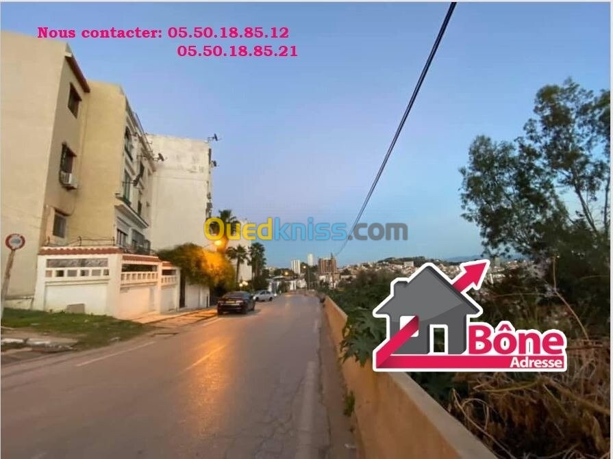 Location Appartement Annaba Annaba