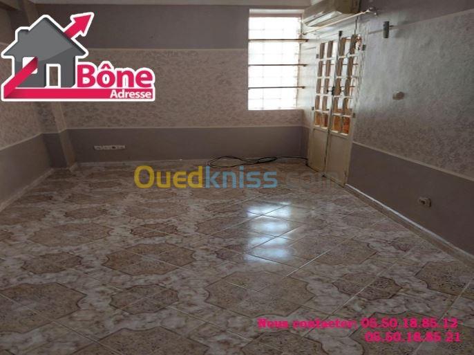 Location Appartement F2 Annaba Annaba