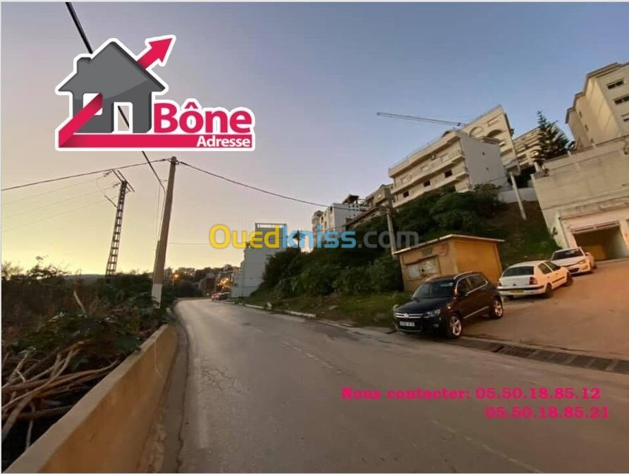 Location Appartement Annaba Annaba