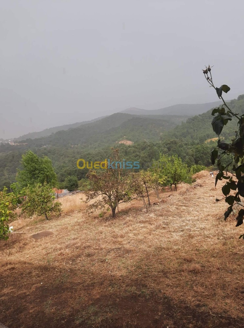 Vente Terrain Tizi Ouzou Yakouren Tizi Ouzou Algérie