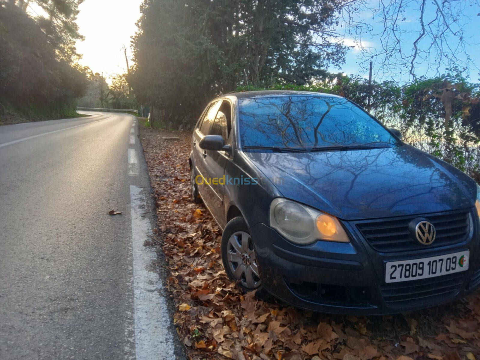 Volkswagen Polo 2007 Polo