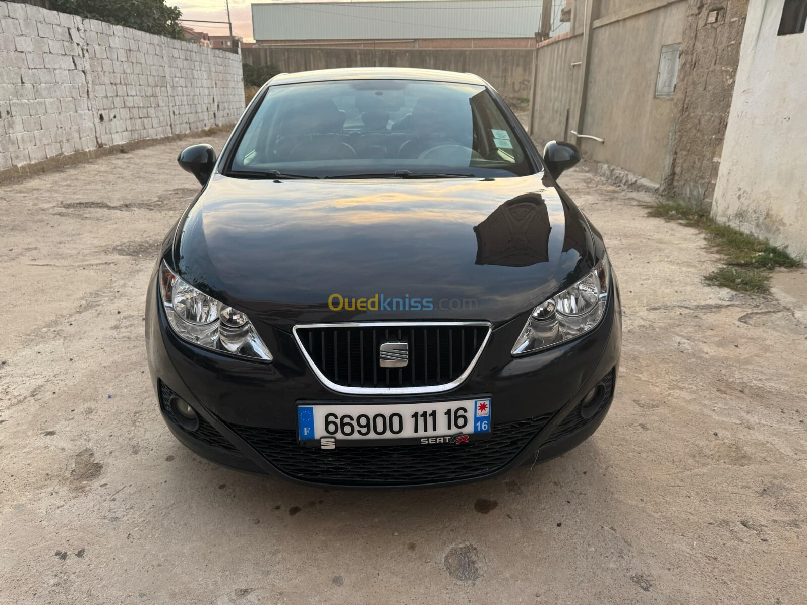 Seat Ibiza 2011 Loca