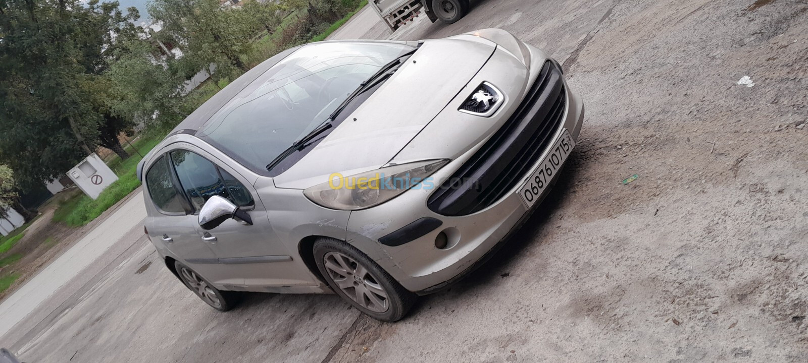 Peugeot 207 2007 207