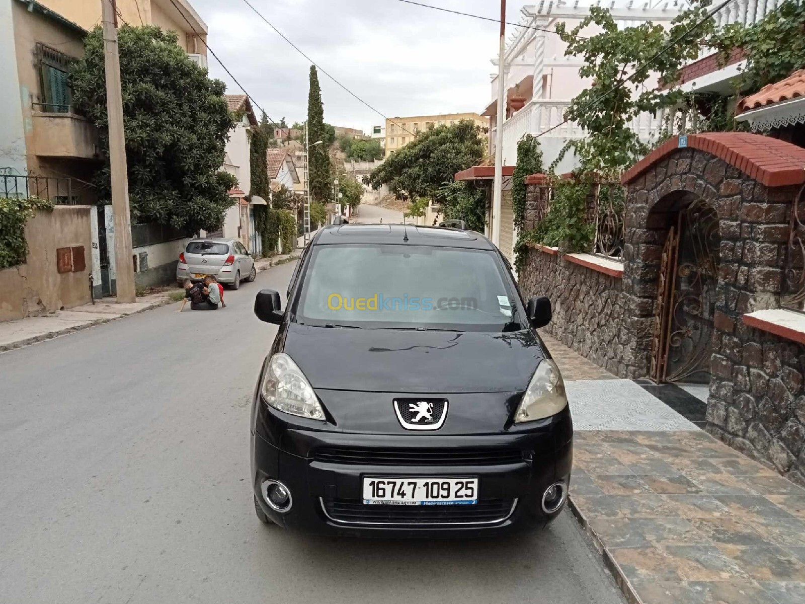 Peugeot Partner 2009 Tepee