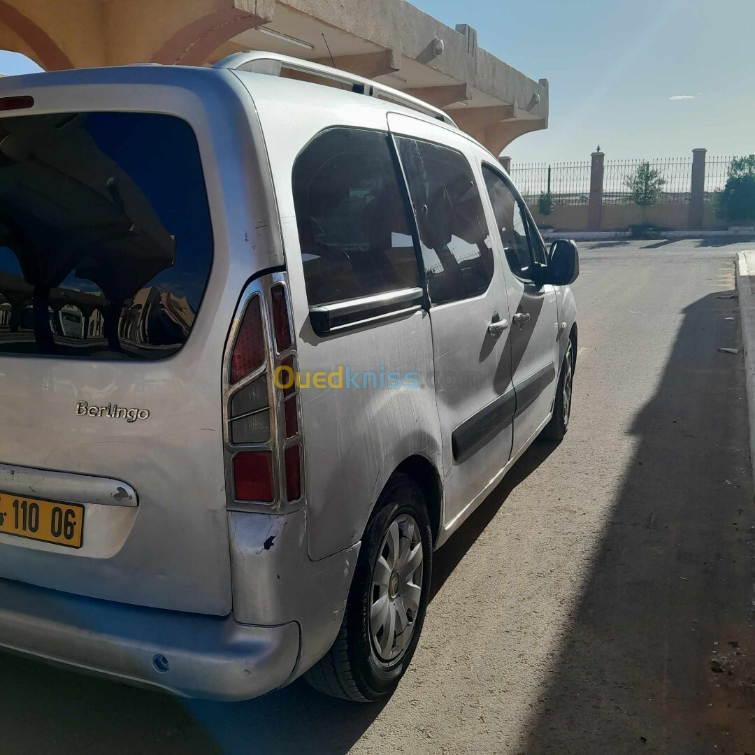 Citroen Berlingo 2010 