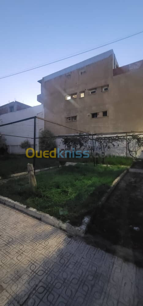 Vente Villa Alger El marsa