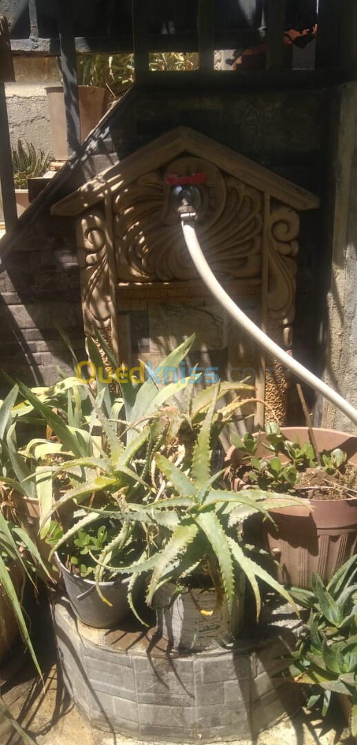 Vente Appartement F2 Alger Dar el beida