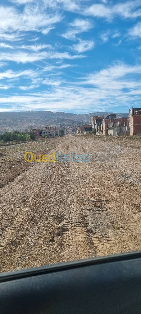 Vente Terrain Blida Meftah